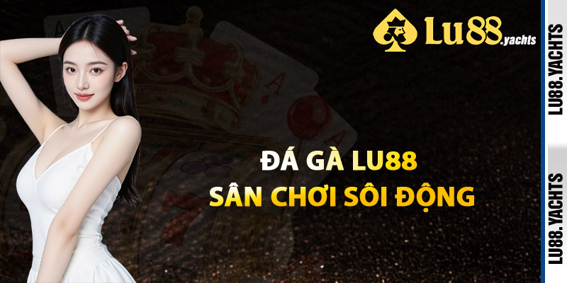 Đá Gà Lu88 – Đấu Trường Chuyên Nghiệp Đẳng Cấp Dẫn Đầu - ZAKIPE.PW Đá Gà Lu88 – Đấu Trường Chuyên Nghiệp Đẳng Cấp Dẫn Đầu - ZAKIPE.PW