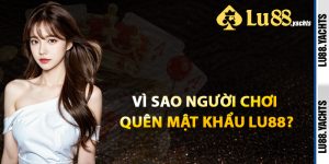 Hướng Dẫn Lu88 – Từ Đăng Ký Đến Rút Thưởng Siêu Nhanh - ZAKIPE.PW